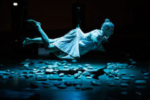 Gravitacija perspektive