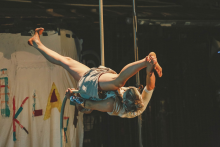 Gravitacija perspektive