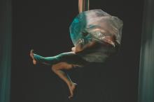 Forest - Spreading the Roots