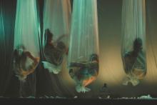 Forest - Spreading the Roots