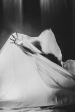 Forest - Spreading the Roots