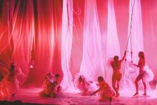 Forest - Spreading the Roots