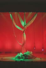 Forest - Spreading the Roots